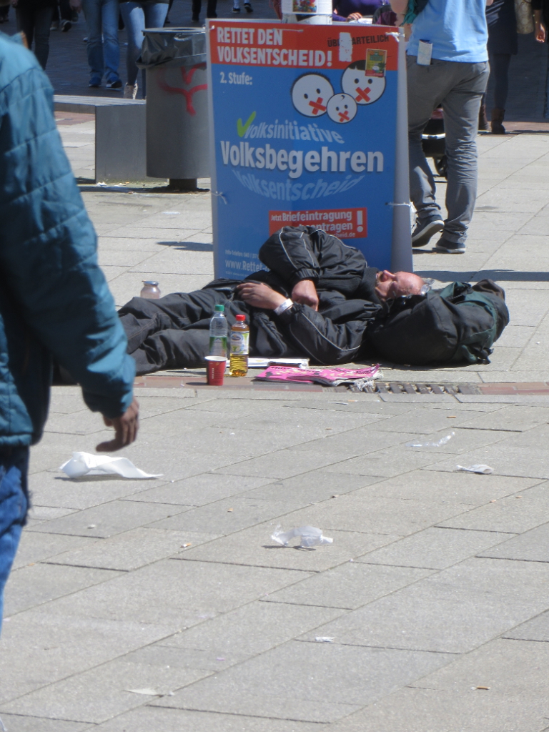 Rettet den Volksentscheid