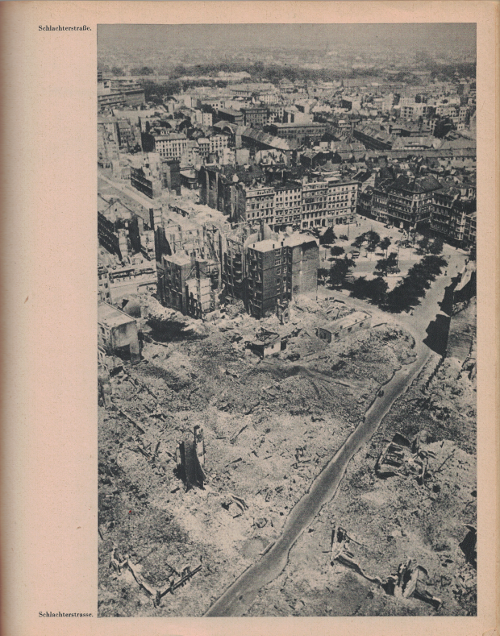 Blick vom Michel auf den Großneumarkt