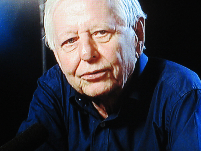 Hans Magnus Enzensberger